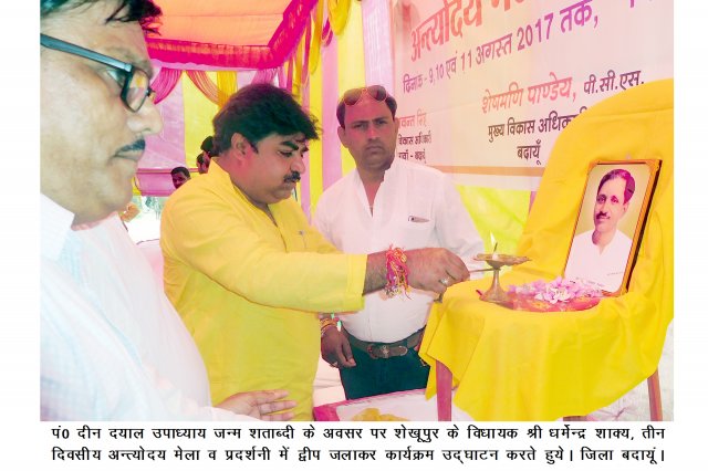 Image Gallery