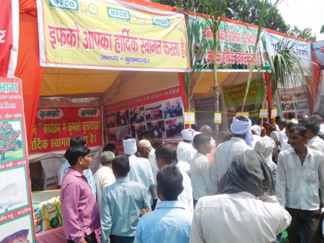 Image Gallery