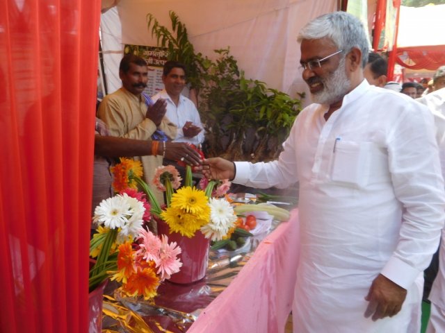 Image Gallery