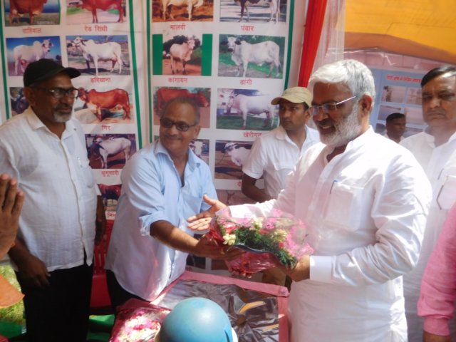 Image Gallery