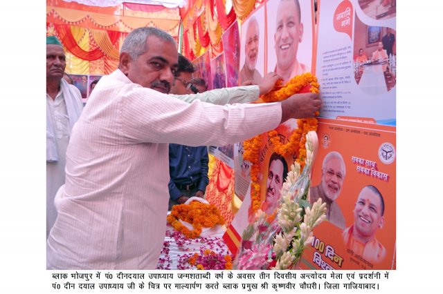 Image Gallery