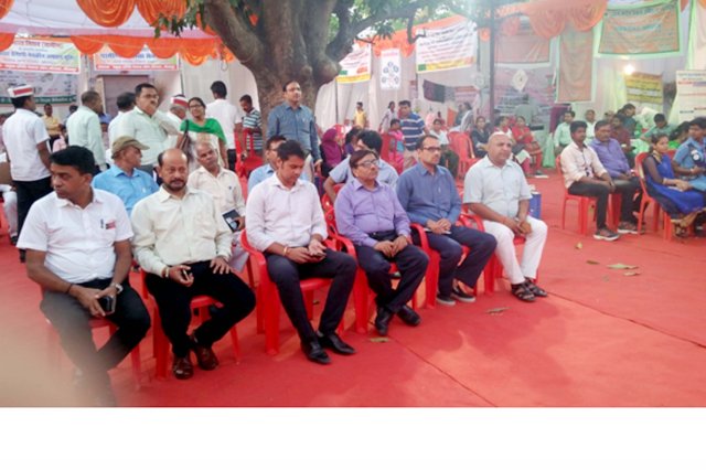 Image Gallery
