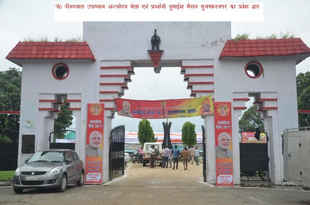 Image Gallery