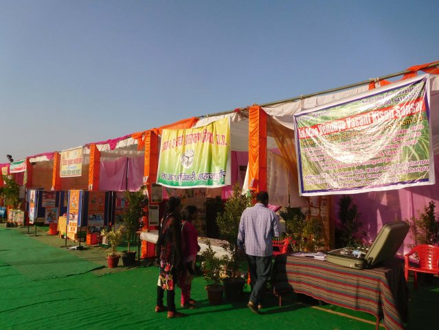 Image Gallery