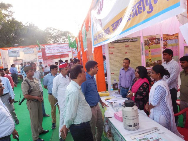 Image Gallery